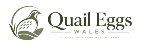 Quail Eggs Wales — fresh quail eggs from Neath, South Wales