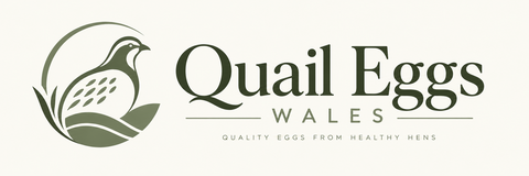 Quail Eggs Wales — fresh quail eggs from Neath, South Wales