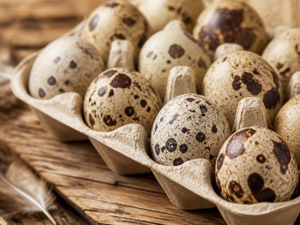 Fresh speckled quail table eggs in a carton — Quail Eggs Wales, South Wales